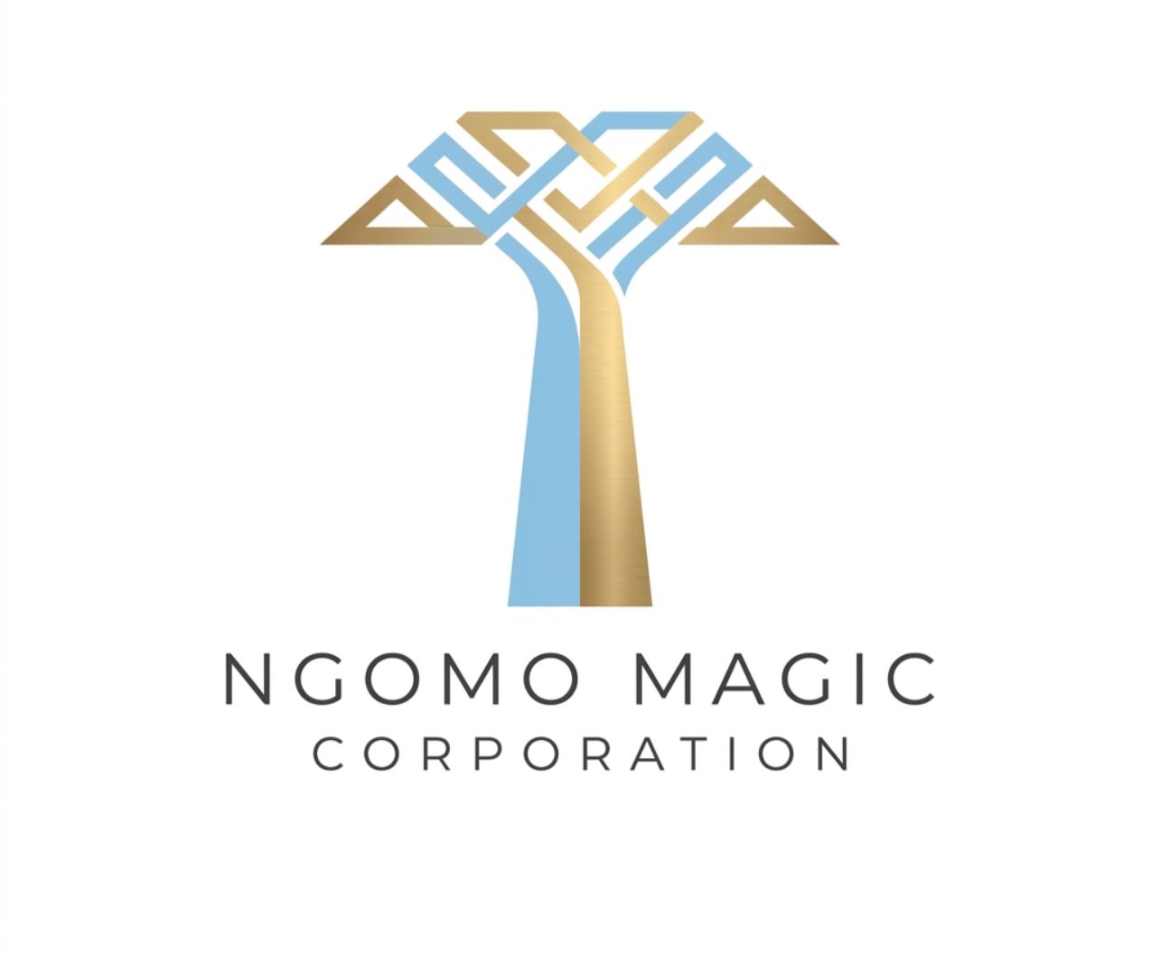 NMC Logo